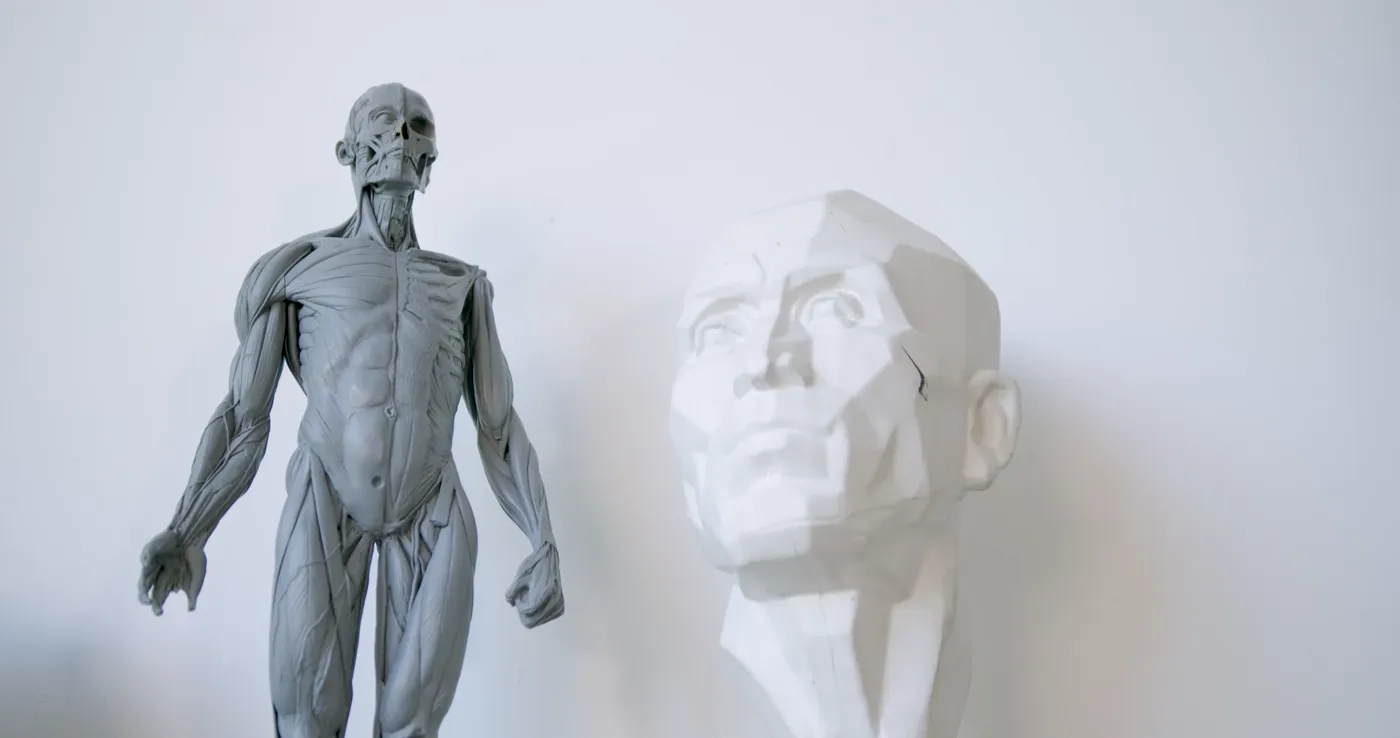 Anatomical figure and planar head models used for observational drawing